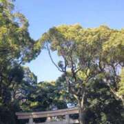 ヒメ日記 2026/01/15 07:20 投稿 あや 渋谷角海老