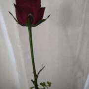 ヒメ日記 2026/01/22 12:20 投稿 あや 渋谷角海老