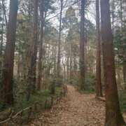 ヒメ日記 2026/01/27 07:50 投稿 あや 渋谷角海老