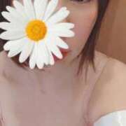 ヒメ日記 2026/01/29 10:50 投稿 あや 渋谷角海老