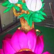 ヒメ日記 2026/02/03 07:50 投稿 あや 渋谷角海老