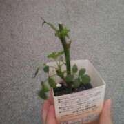 ヒメ日記 2026/02/10 08:20 投稿 あや 渋谷角海老