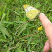 ヒメ日記 2026/02/11 07:50 投稿 あや 渋谷角海老