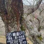 ヒメ日記 2026/02/18 07:40 投稿 あや 渋谷角海老