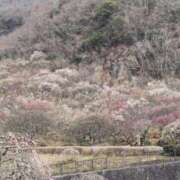 ヒメ日記 2026/02/19 07:50 投稿 あや 渋谷角海老