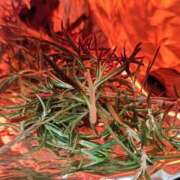 ヒメ日記 2026/04/24 08:20 投稿 あや 渋谷角海老