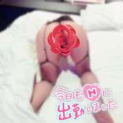 ヒメ日記 2025/04/28 10:56 投稿 さくら 逆痴漢