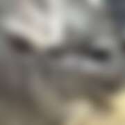 ヒメ日記 2025/12/23 16:08 投稿 らむ チアガール