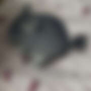 ヒメ日記 2025/12/30 15:04 投稿 らむ チアガール