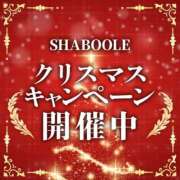 ヒメ日記 2024/12/23 10:10 投稿 きさら シャブール