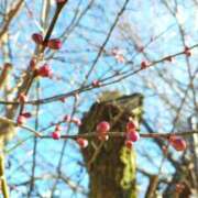 ヒメ日記 2025/02/25 15:40 投稿 きさら シャブール