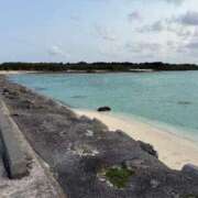 ヒメ日記 2025/04/02 23:50 投稿 きさら シャブール