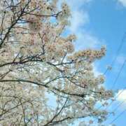 ヒメ日記 2025/04/07 22:53 投稿 きさら シャブール