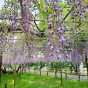 ヒメ日記 2025/05/02 21:38 投稿 きさら シャブール