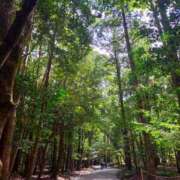 ヒメ日記 2025/09/30 00:50 投稿 きさら シャブール