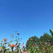 ヒメ日記 2025/10/17 21:47 投稿 きさら シャブール