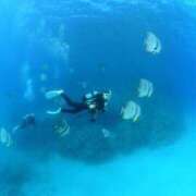 ヒメ日記 2025/10/27 05:07 投稿 きさら シャブール