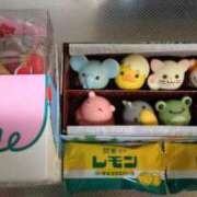 ヒメ日記 2025/03/29 08:40 投稿 愛川桔梗 プレジデントハウス