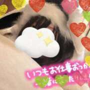 ヒメ日記 2024/12/13 21:21 投稿 ひまわり ドンファン