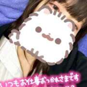 ヒメ日記 2024/12/17 06:27 投稿 ひまわり ドンファン