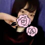 ヒメ日記 2024/12/18 06:29 投稿 ひまわり ドンファン