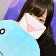 ヒメ日記 2024/12/28 06:28 投稿 ひまわり ドンファン