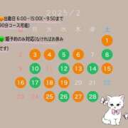 ヒメ日記 2025/01/21 14:49 投稿 ひまわり ドンファン