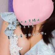 ヒメ日記 2025/01/30 22:04 投稿 ひまわり ドンファン