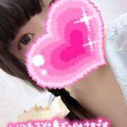 ヒメ日記 2025/02/15 06:25 投稿 ひまわり ドンファン