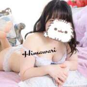 ヒメ日記 2025/02/23 15:32 投稿 ひまわり ドンファン