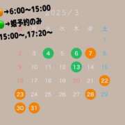 ヒメ日記 2025/02/23 18:45 投稿 ひまわり ドンファン