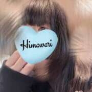 ヒメ日記 2025/02/25 11:40 投稿 ひまわり ドンファン