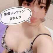 ヒメ日記 2025/03/06 22:30 投稿 ひまわり ドンファン