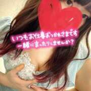 ヒメ日記 2025/03/08 08:15 投稿 ひまわり ドンファン