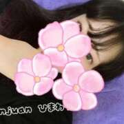 ヒメ日記 2025/06/05 09:52 投稿 ひまわり ドンファン