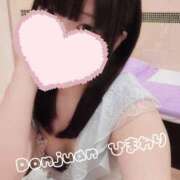 ヒメ日記 2025/06/09 00:38 投稿 ひまわり ドンファン