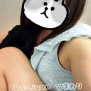 ヒメ日記 2025/06/09 22:48 投稿 ひまわり ドンファン