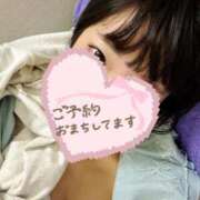 ヒメ日記 2025/06/14 06:48 投稿 ひまわり ドンファン