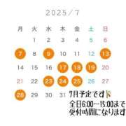ヒメ日記 2025/07/03 00:46 投稿 ひまわり ドンファン