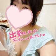 ヒメ日記 2025/07/17 06:18 投稿 ひまわり ドンファン