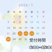 ヒメ日記 2025/07/22 17:33 投稿 ひまわり ドンファン