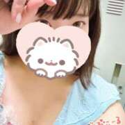 ヒメ日記 2025/07/23 22:01 投稿 ひまわり ドンファン