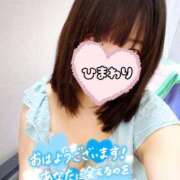 ヒメ日記 2025/07/28 06:30 投稿 ひまわり ドンファン