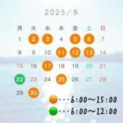 ヒメ日記 2025/08/22 11:24 投稿 ひまわり ドンファン