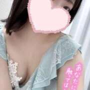 ヒメ日記 2025/08/27 06:18 投稿 ひまわり ドンファン