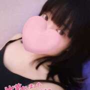 ヒメ日記 2025/09/03 06:16 投稿 ひまわり ドンファン