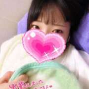 ヒメ日記 2025/09/06 06:43 投稿 ひまわり ドンファン