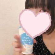 ヒメ日記 2025/09/12 06:18 投稿 ひまわり ドンファン