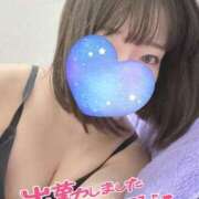 ヒメ日記 2025/10/20 06:37 投稿 ひまわり ドンファン