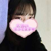 ヒメ日記 2025/10/24 06:17 投稿 ひまわり ドンファン